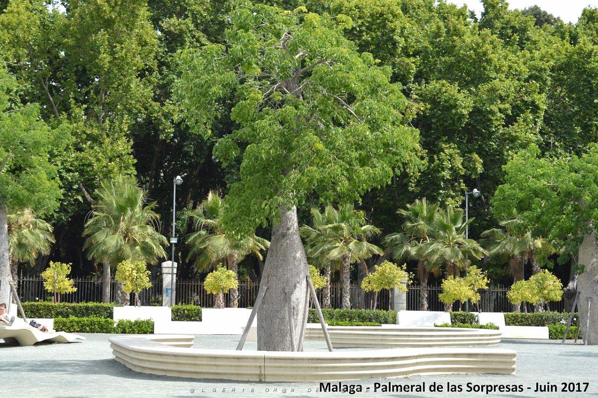127- Malaga Palmeral Sorpresas.JPG